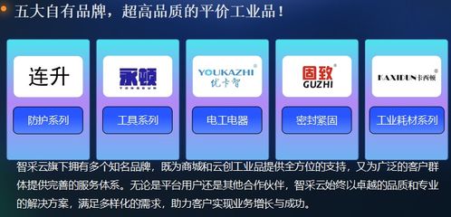 深度解析智采云 工业品平台的崛起之路